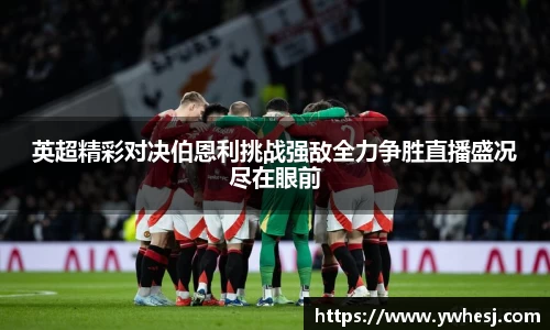 米兰体育官网